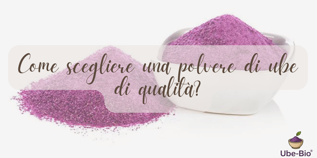 Come scegliere una polvere di ube di qualità?