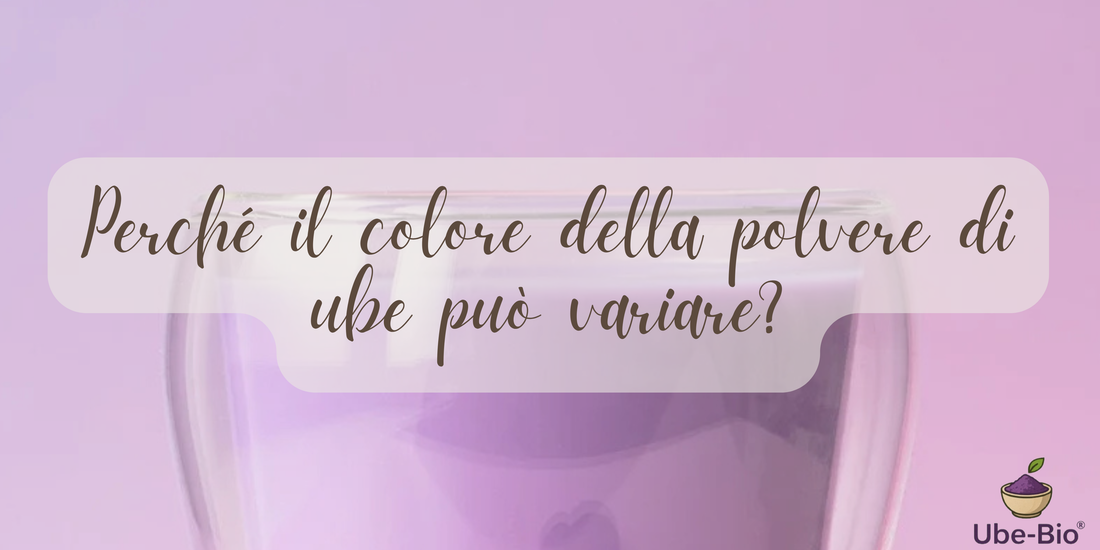 Perché il colore della polvere di ube può variare?